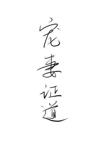 宠妻证道封面