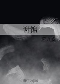 谢锦封面