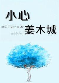 小心，姜木城封面