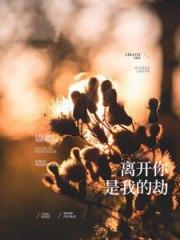 林浅溪傅修年封面
