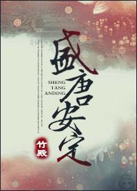 盛唐安定封面