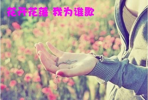 花开花落 我为谁歌封面