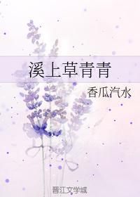 溪上草青青封面