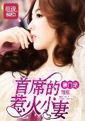 豪门宠：首席的惹火小妻封面