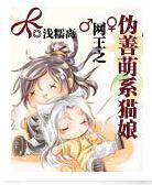 网王之伪善萌系猫娘封面