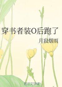 穿书者装O后跑了封面