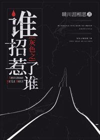 灰色之谁招惹了谁封面