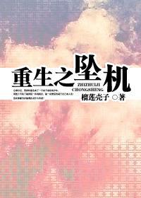 重生之坠机封面