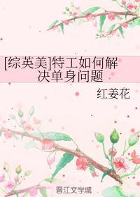 [综英美]特工如何解决单身问题封面