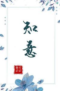 知意封面