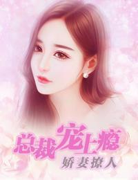 娇妻撩人：总裁宠上瘾封面