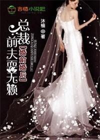 婚前婚后，总裁前夫耍无赖封面