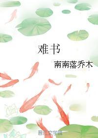 难书封面