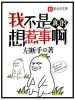 我不是真的想惹事啊封面