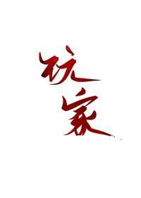 玩家封面
