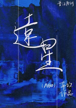 远星封面
