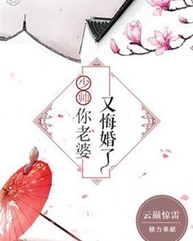 少帅，你老婆又悔婚了靳劭飏傅玉央封面
