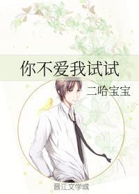 你不爱我试试封面