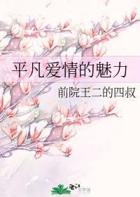 平凡爱情的魅力封面