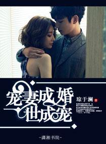 宠妻成婚之一世成宠封面