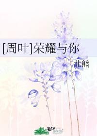 （周叶）荣耀与你封面