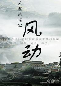 风起迹临之风动封面
