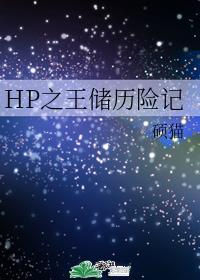 HP之王储历险记封面
