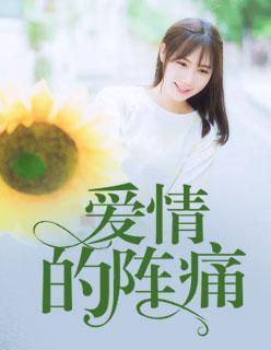 爱情的阵痛封面
