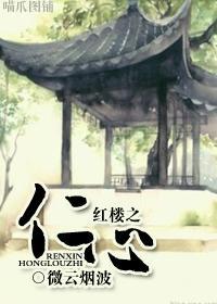 红楼之仁心封面