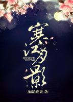 寒江月影封面