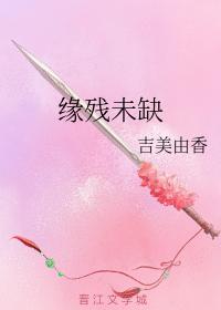 缘残未缺封面