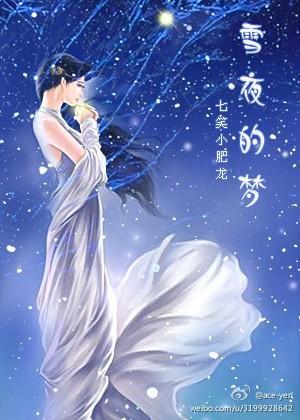 雪夜的梦封面