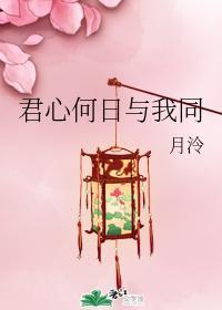 君心何日与我同封面