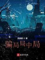 骗局局中局封面
