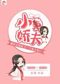 小娇夫封面