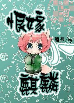 恨嫁小麒麟封面