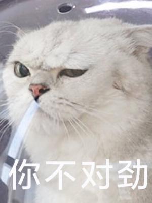 搞到真爱了封面