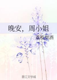 晚安，周小姐封面