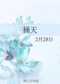 捅天封面