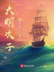 大明次子封面