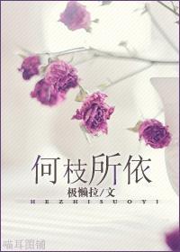 何枝所依封面
