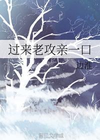 过来老攻亲一口封面