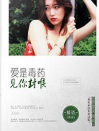 爱情十面埋伏封面