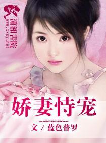 诱妻成婚封面