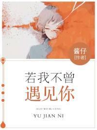 若我不曾遇见你封面