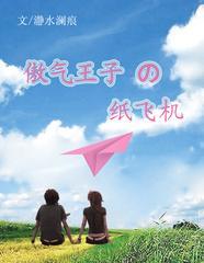 傲气王子的纸飞机封面