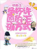柯南之圣杯许愿的正确方式封面