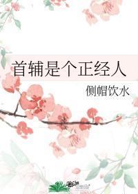 首辅是个正经人封面