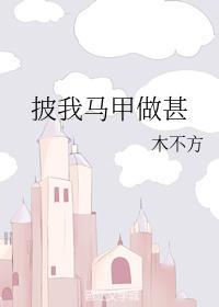 披我马甲做甚封面