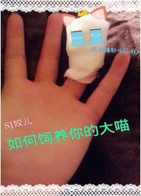 论如何饲养你的大喵封面